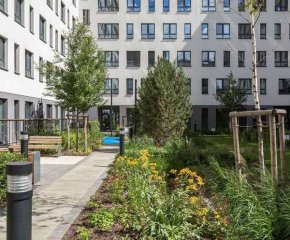 ЖК Брусника в Академическом