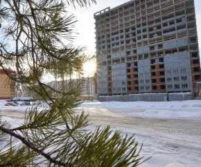 ЖК ШишкINN (ЖК Шишкин. Арт)